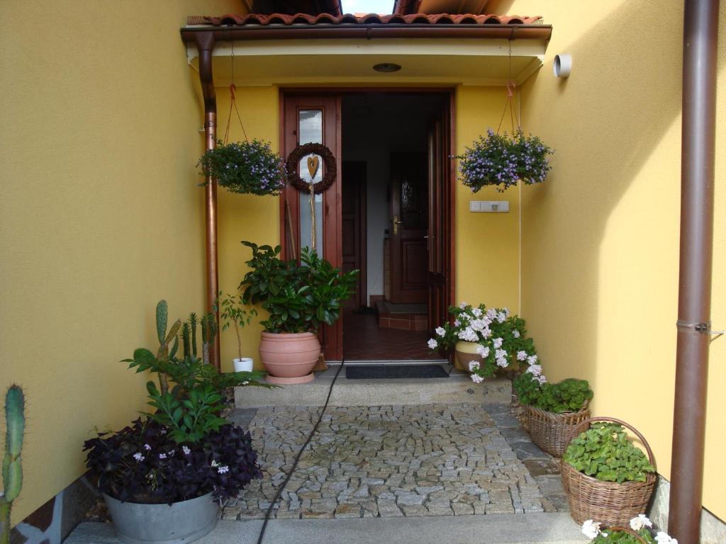Apartman Augsten Cesky Krumlov Exterior photo